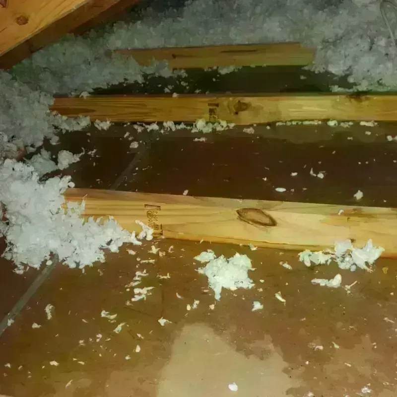 Attic Water Damage in Oakwood Hills, IL