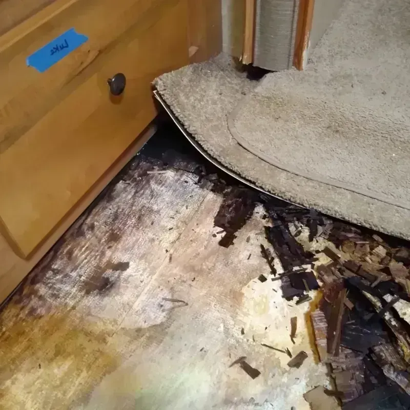 Wood Floor Water Damage in Oakwood Hills, IL